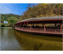 【友澜仿真植物仙鹤造型人造植物绿雕造型大型园林景观工程植物工艺】东莞市桥头友澜工艺品厂